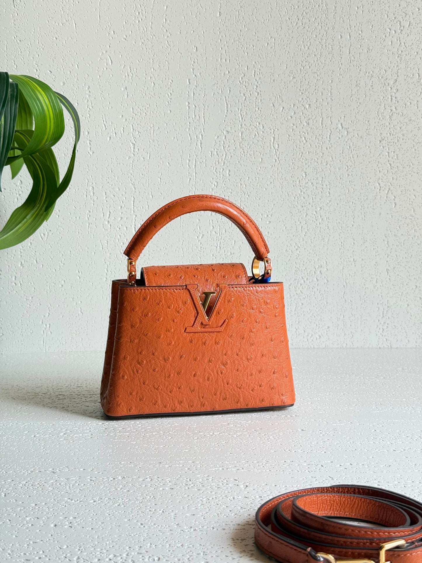 Louis Vuitton Capucines Mini handbags crafted 21 CM