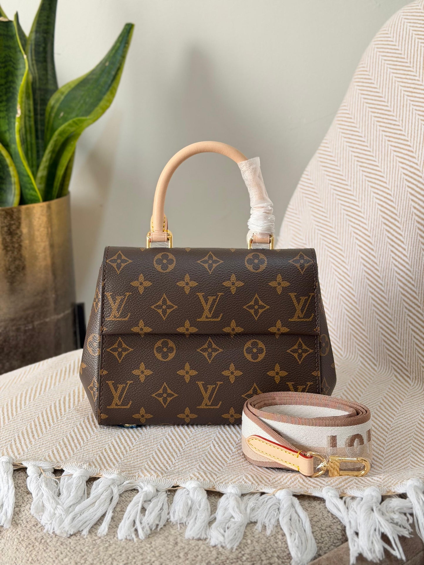 Louis Vuitton N00097
Cluny Mini 20 CM