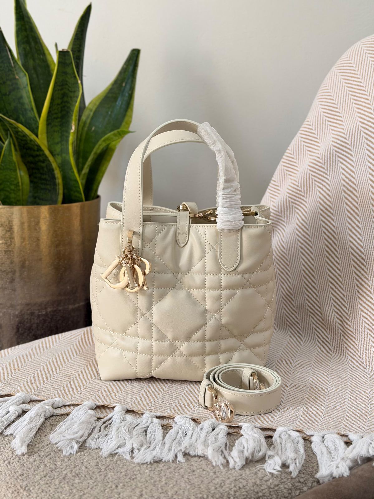 Dior Toujours vertical tote style 18.5CM