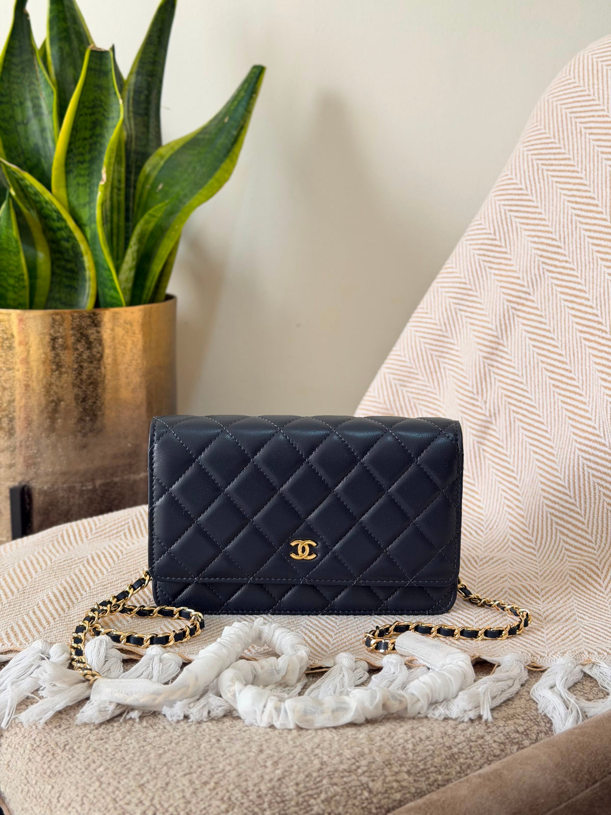 Chanel Wallet on Chain bag 19 CM