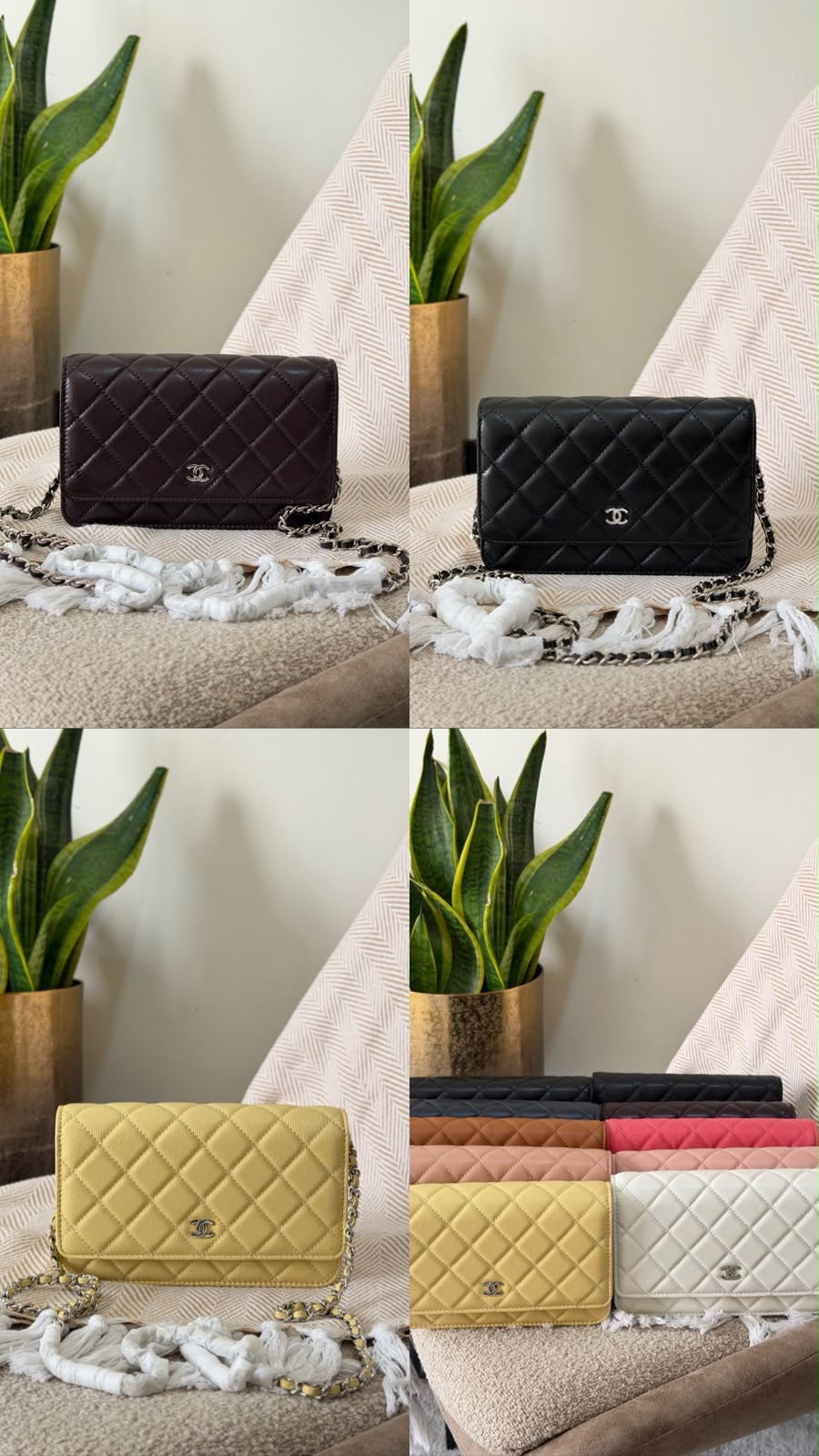 Chanel Wallet on Chain bag 19 CM