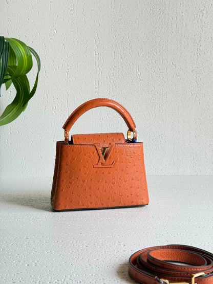 Louis Vuitton Capucines Mini handbags crafted 21 CM