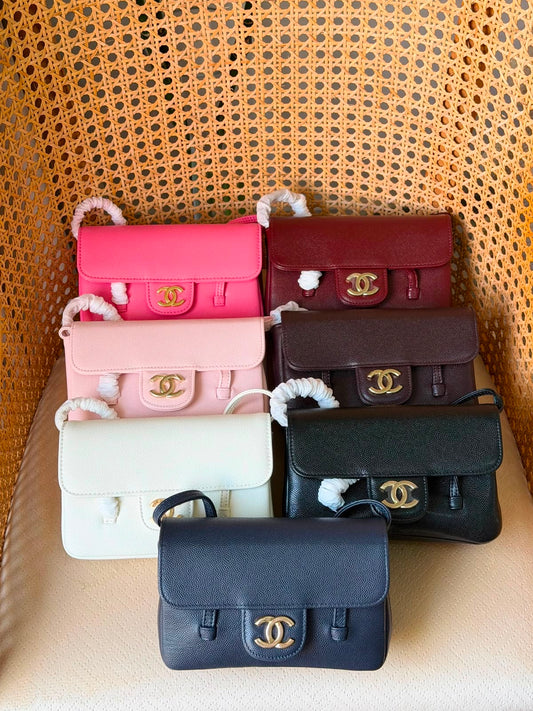 Chanel Preppy Coco Flap Mini
17 Cm