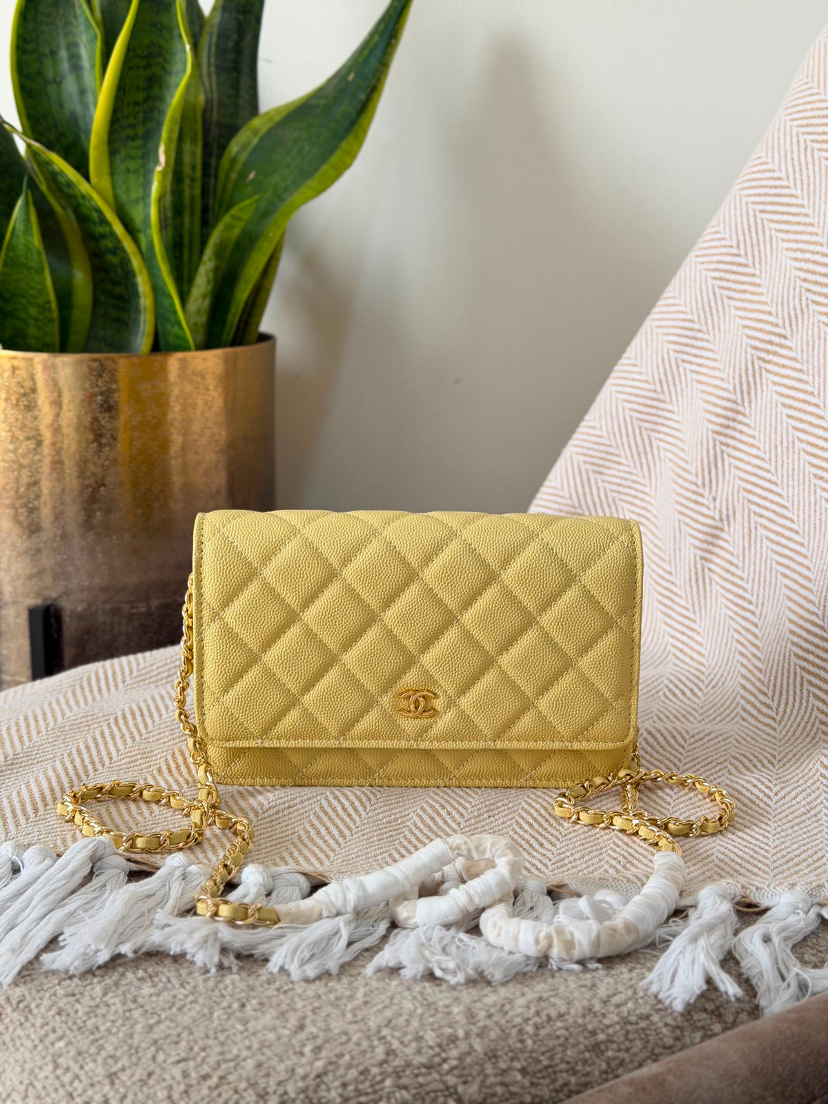 Chanel Wallet on Chain bag 19 CM