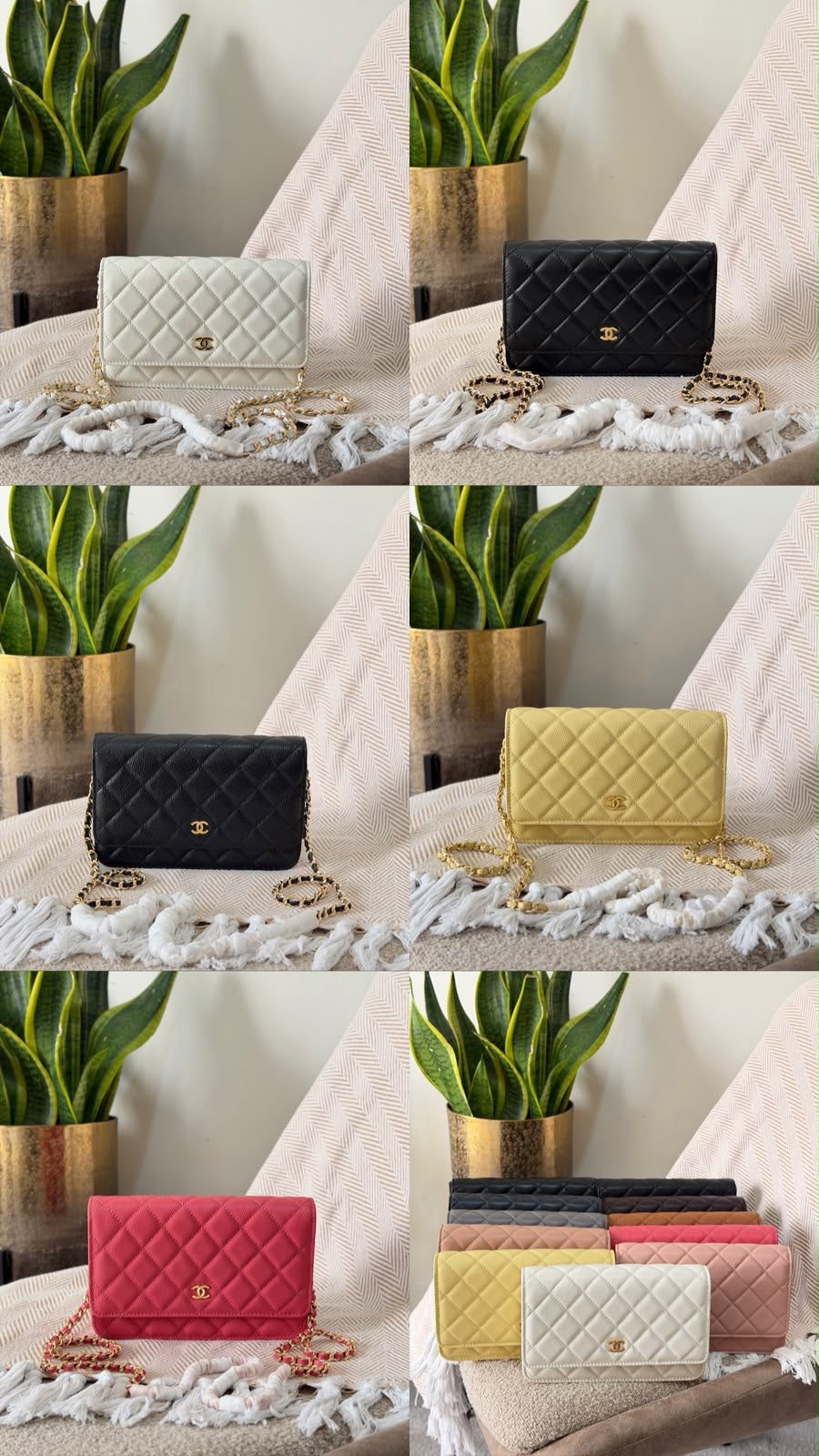 Chanel Wallet on Chain bag 19 CM