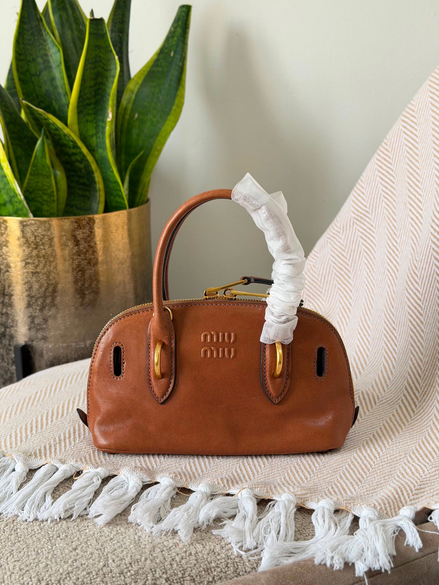 MIU MIU collection 22 CM