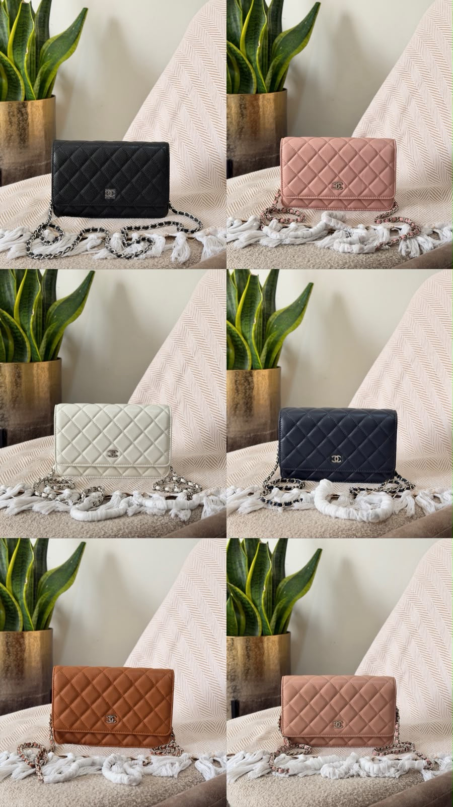 Chanel Wallet on Chain bag 19 CM