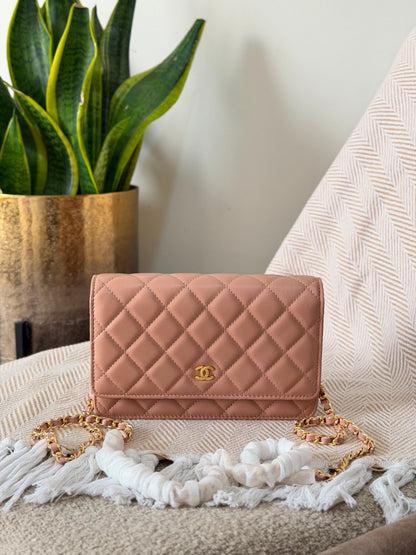 Chanel Wallet on Chain bag 19 CM