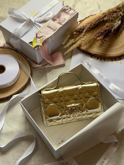 New collection DIOR clutch