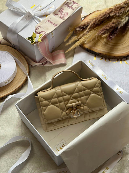 New collection DIOR clutch