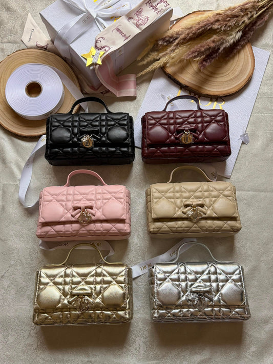 New collection DIOR clutch