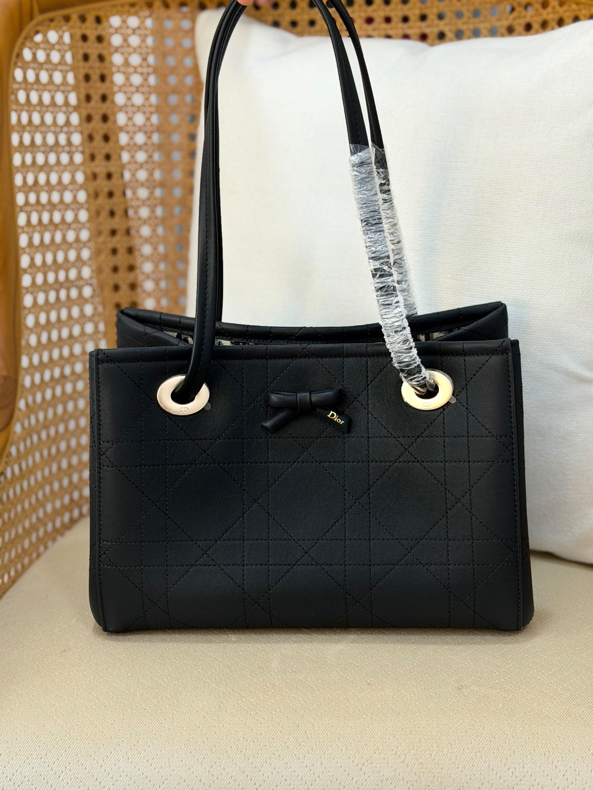 DIOR promenade tote bag