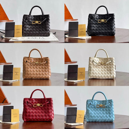 BOTTEGA veneta andiamo mini