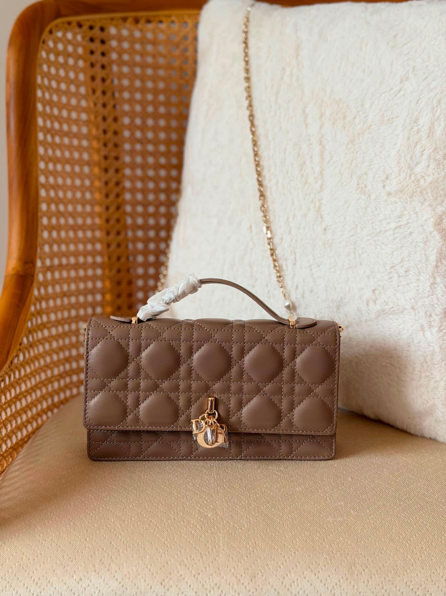 Miss DIOR lamp skin