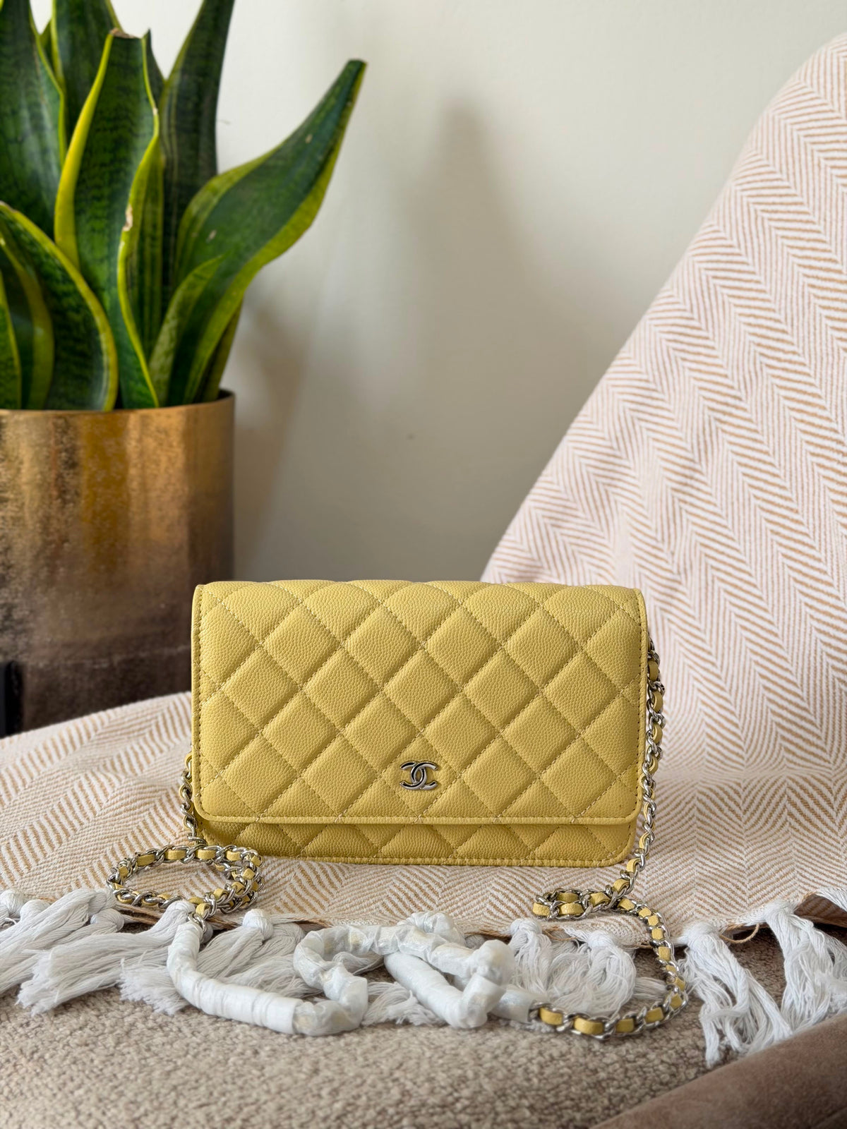 Chanel Wallet on Chain bag 19 CM