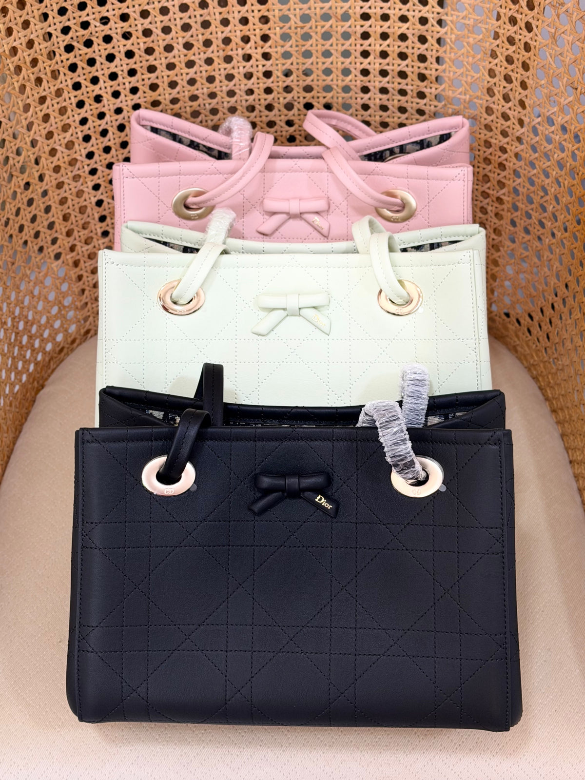 DIOR promenade tote bag