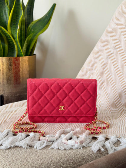 Chanel Wallet on Chain bag 19 CM