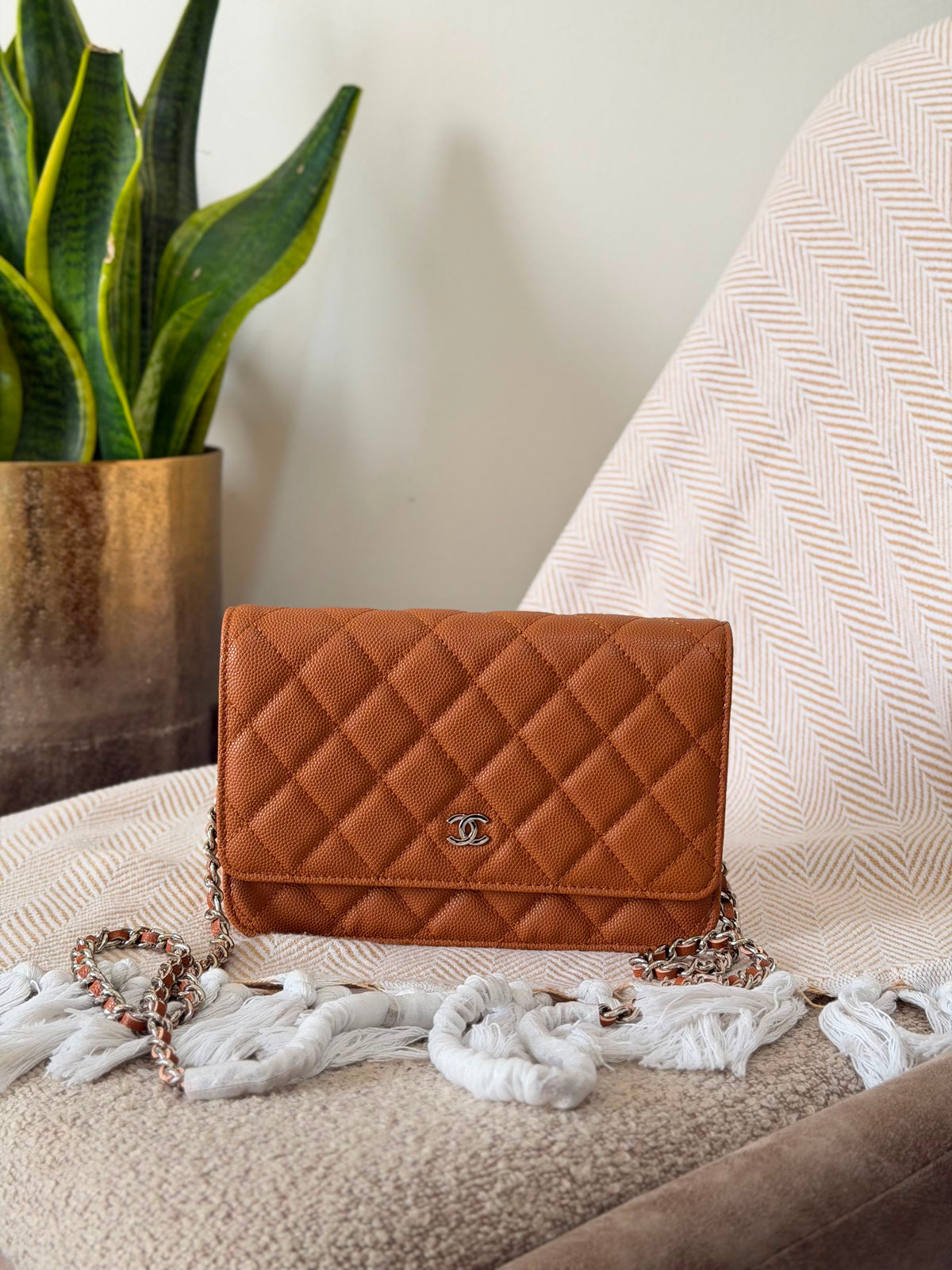 Chanel Wallet on Chain bag 19 CM