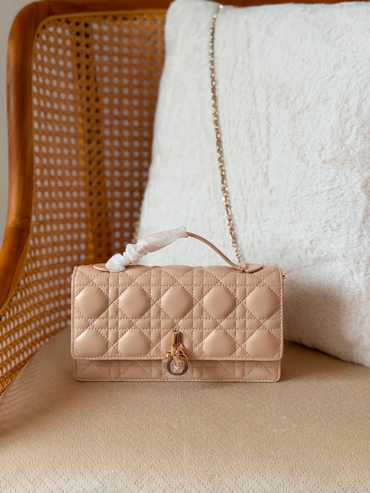 Miss DIOR lamp skin