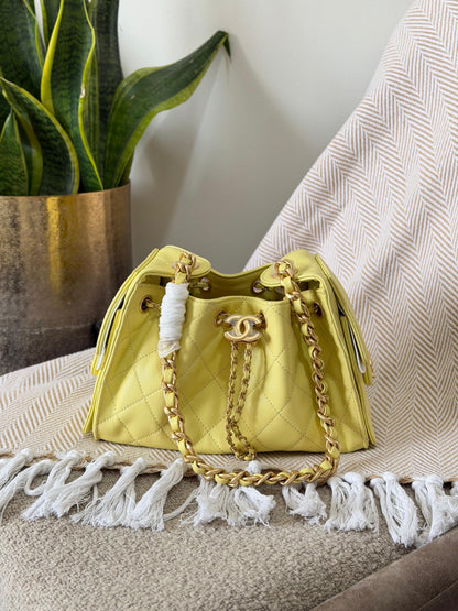 Chanel 25 Hobo Bag 22CM