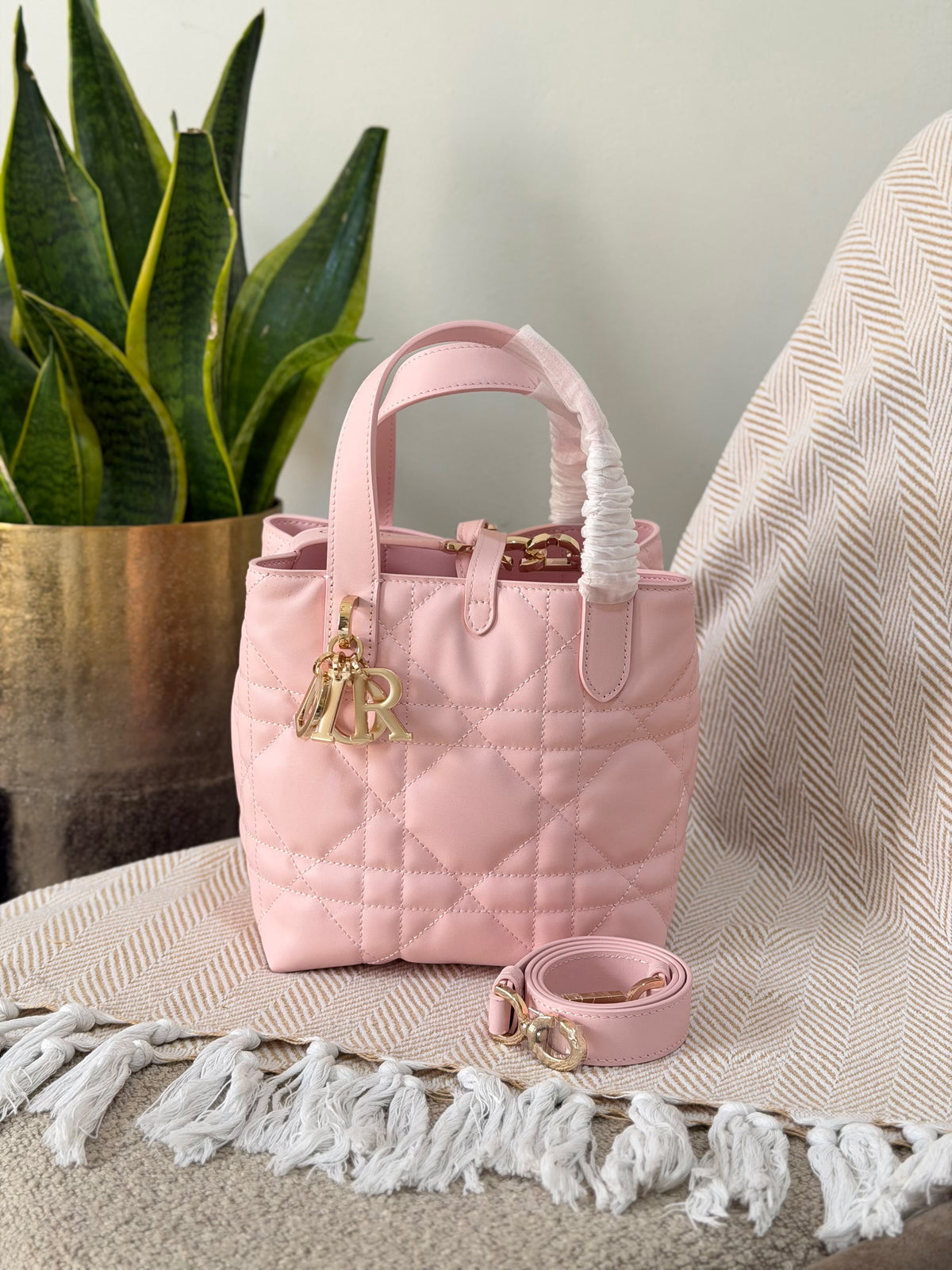 Dior Toujours vertical tote style 18.5CM