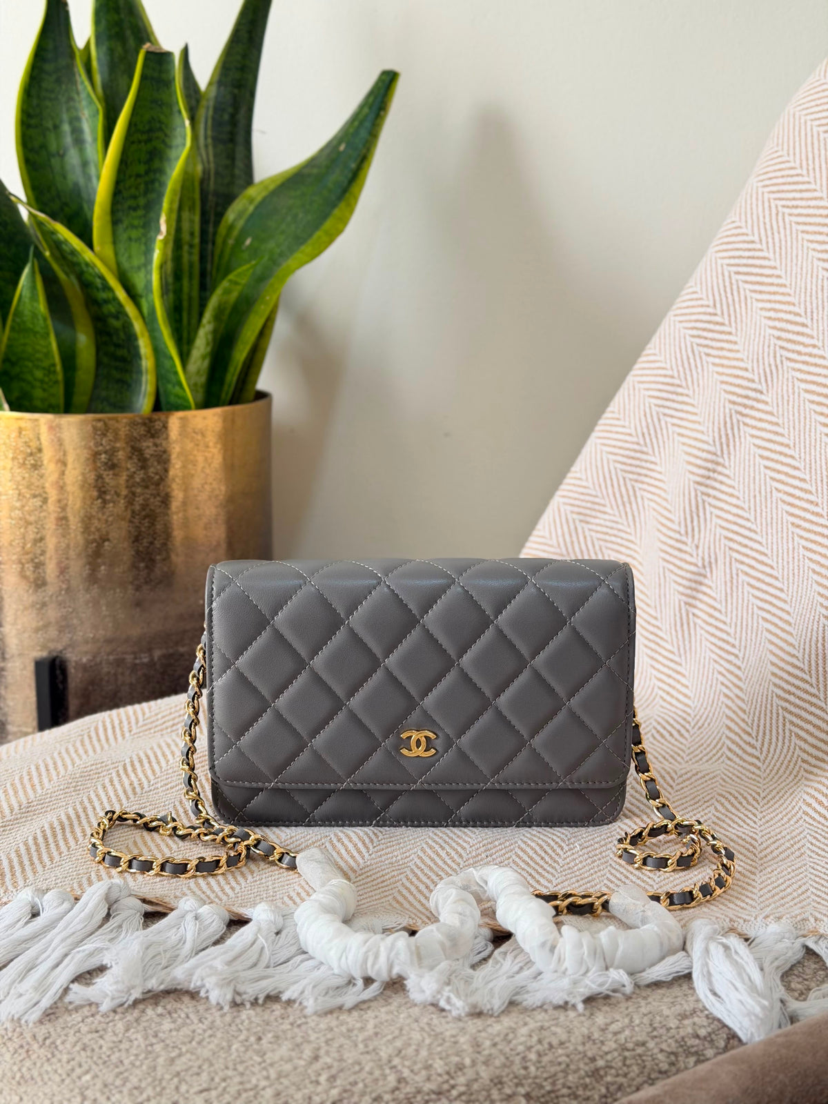 Chanel Wallet on Chain bag 19 CM