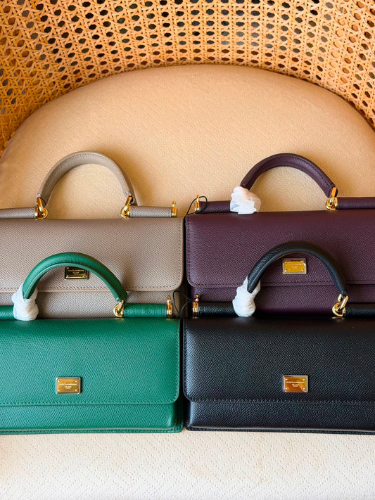 Dolce & Gabbana Dauphine mini top handle bags  20 CM