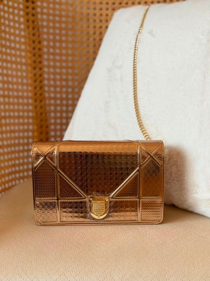 Dior clutch lizard