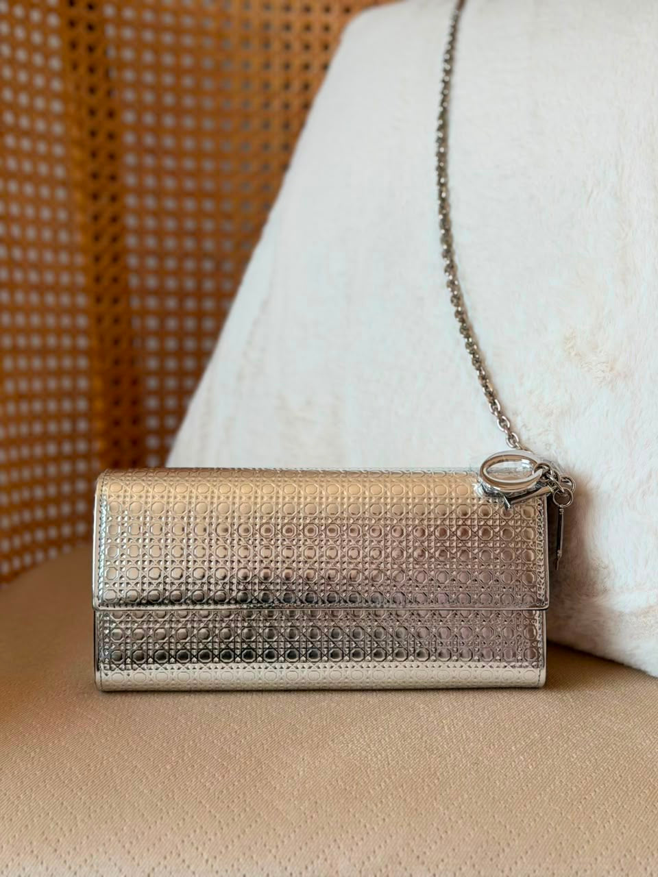DIOR clutch