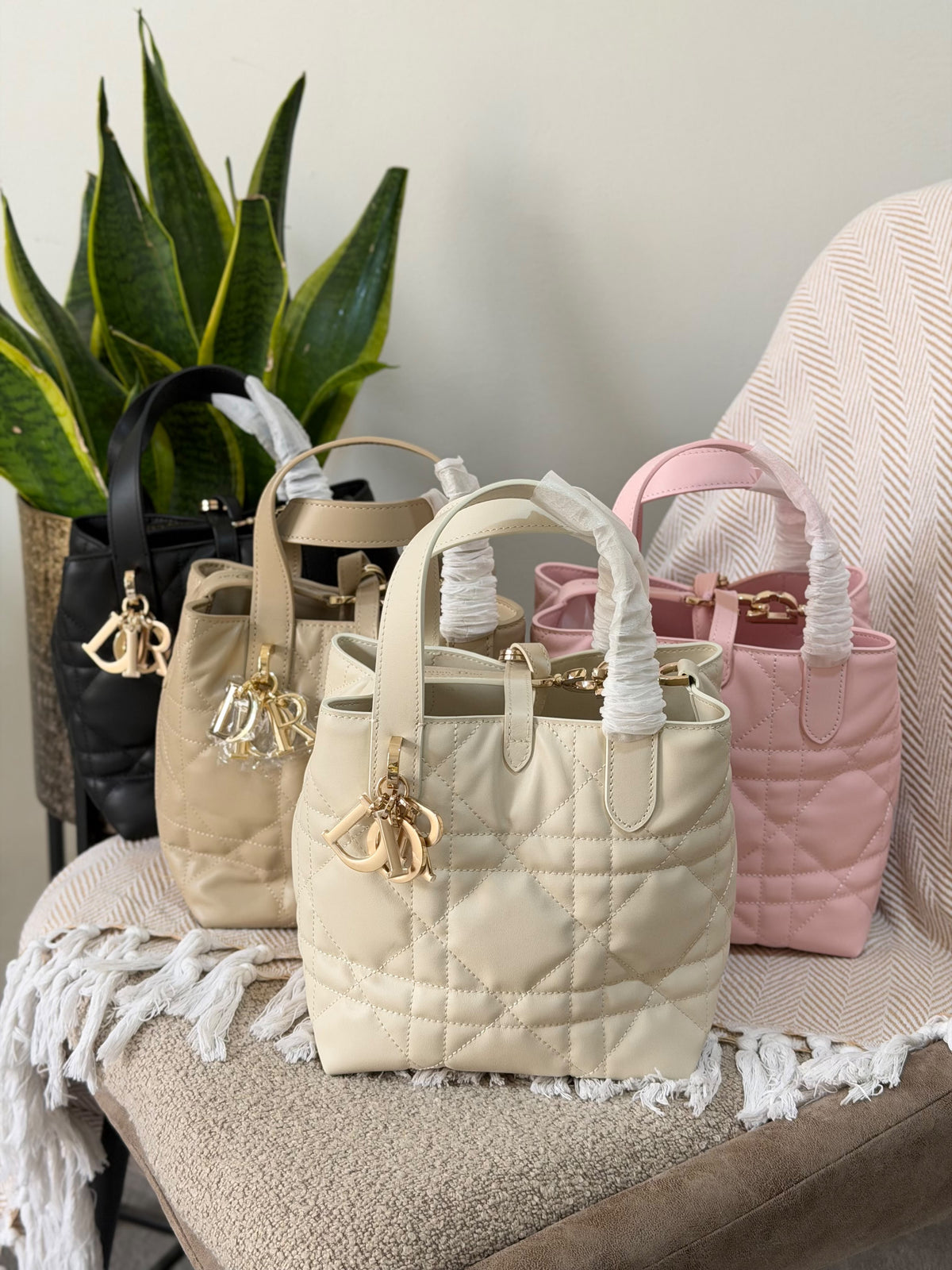 Dior Toujours vertical tote style 18.5CM