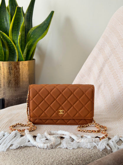 Chanel Wallet on Chain bag 19 CM