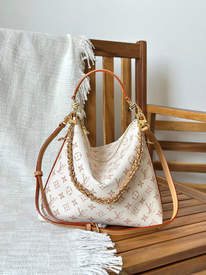 LV multipass handbag 👜