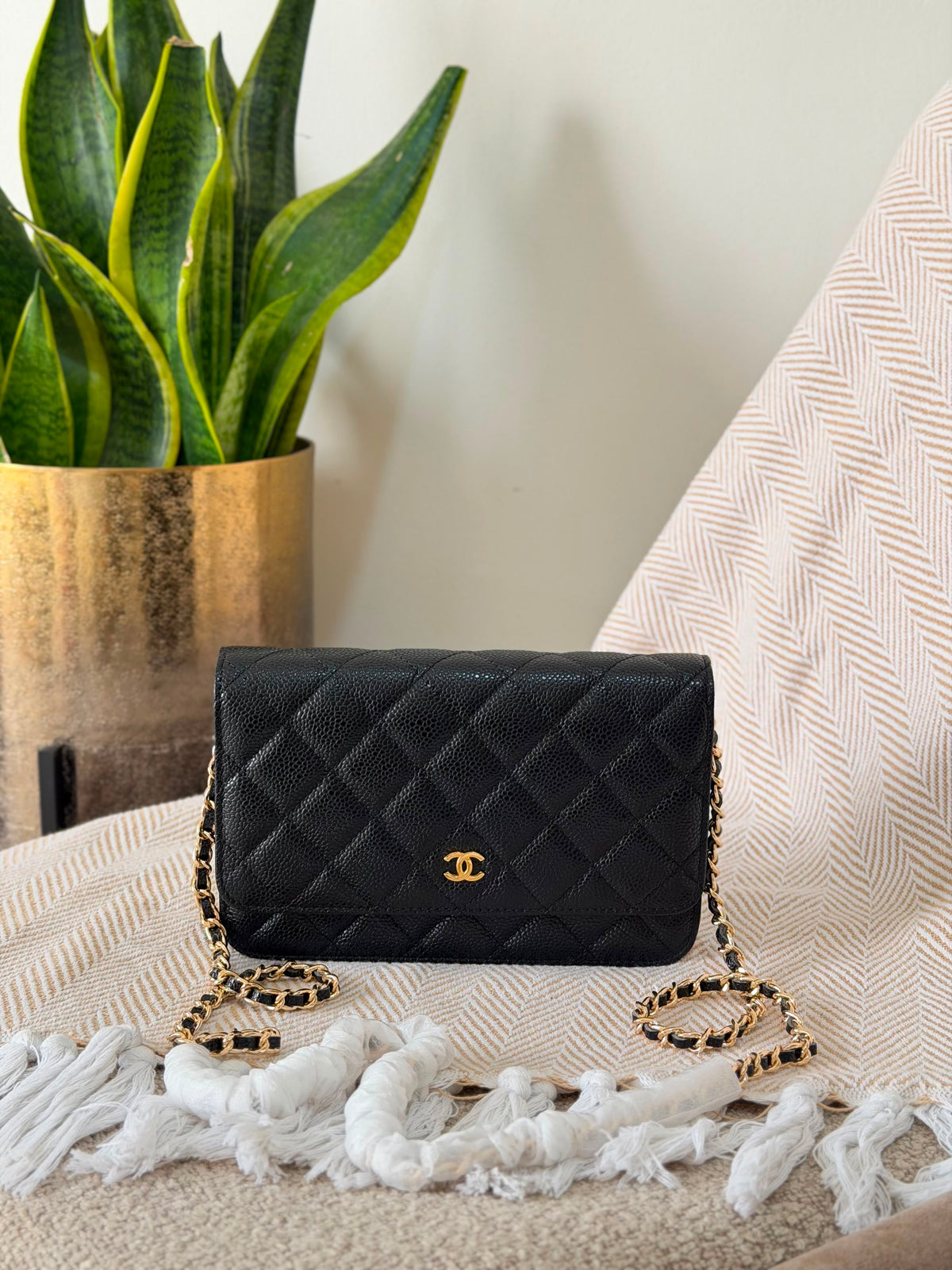 Chanel Wallet on Chain bag 19 CM