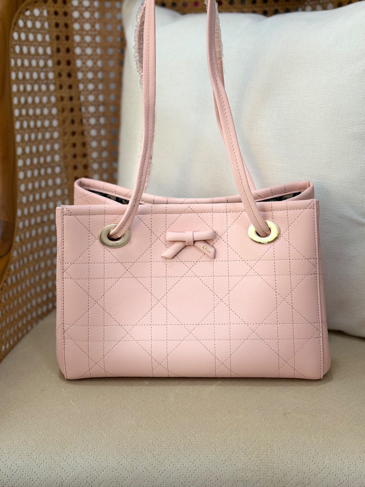 DIOR promenade tote bag