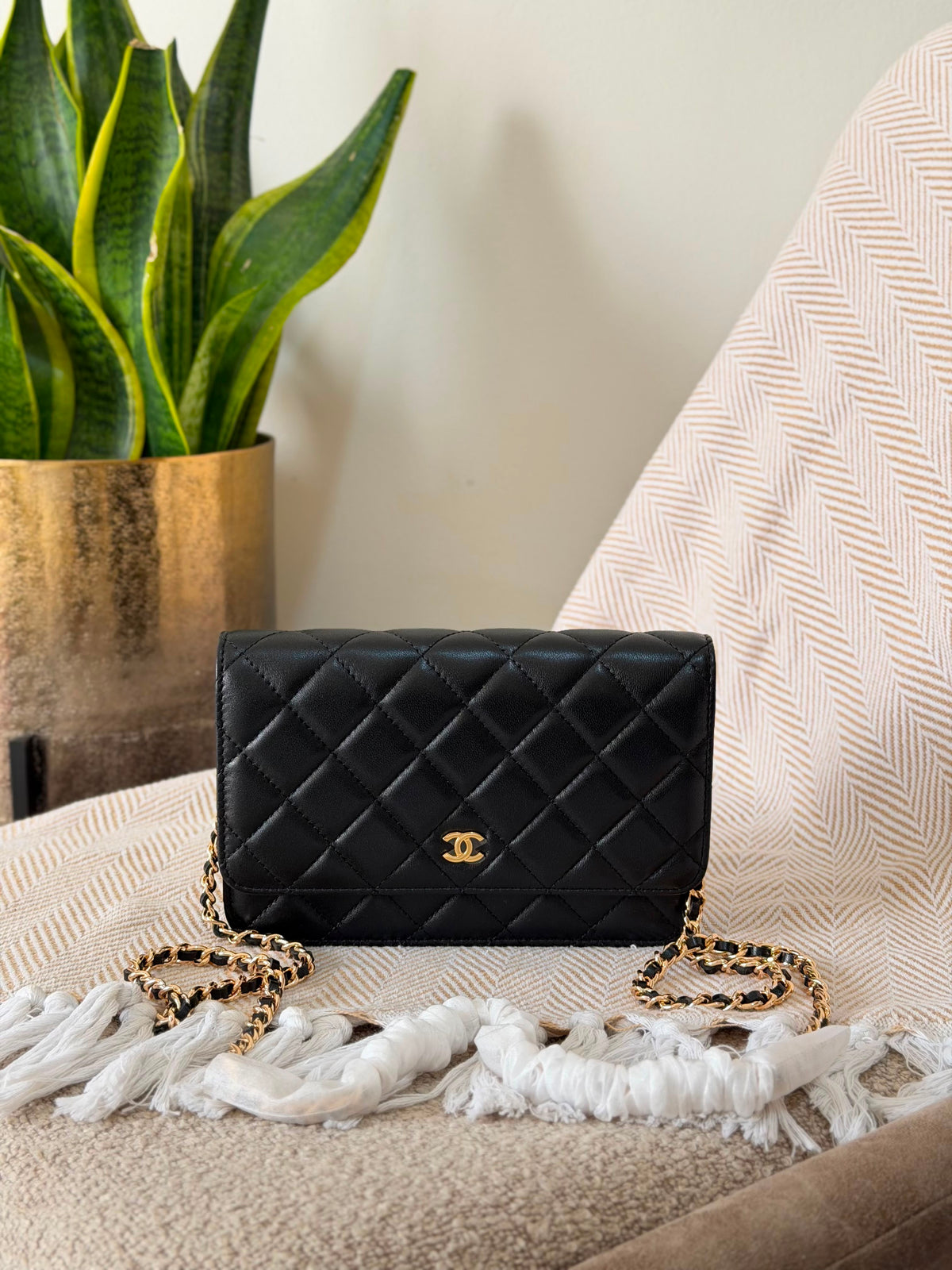 Chanel Wallet on Chain bag 19 CM